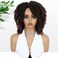 Fancy Hair Short Dreadlock Wigs Ombre Brown Faux Locs Wig Afro Twist Curly Wig Synthetic Dreadlock Wigs for Black Women (1B30#)
