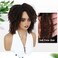 Fancy Hair Short Dreadlock Wigs Ombre Brown Faux Locs Wig Afro Twist Curly Wig Synthetic Dreadlock Wigs for Black Women (1B30#)