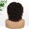 Fancy Hair Short Dreadlock Wigs Ombre Brown Faux Locs Wig Afro Twist Curly Wig Synthetic Dreadlock Wigs for Black Women (1B30#)