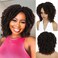 Fancy Hair Short Dreadlock Wigs Ombre Brown Faux Locs Wig Afro Twist Curly Wig Synthetic Dreadlock Wigs for Black Women (1B30#)