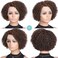Fancy Hair Human Hair Wig Short Lace Front Wigs Kinky Curly Glueless Side Part Brazilian Virgin Human Hair Curly Bob Wigs with Baby Hair for Black Women (Brown,10 Inch)