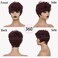 Short Pixie Cut Wigs for Black Women Short Curly Wig 99J Burgundy Pixie Cut Wigs Layered Pixie Wigs Wine Red Short Wigs(Burgundy)