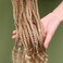 FAVE Dreadlock Extensions 20Strands Synthetic Box Braided Hair 26 Wavy Dreads Extensions Ombre Brown to Blonde Dreadlock for Women (27/613)