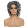 Black Women Men Short Dreadlock Wig Synthetic Wigs Afro Curly Wig For Daily Party Use (Grey)