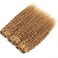 FEELME 3 Bundles 16 18 20 Honey Blonde Brazilian Hair Kinky Curly Bundles Color 27 Curly Human Hair Bundles Unprocessed Virgin Brazilian Curly Hair Bundles 100% Human Hair Extensions