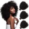 Mongolian Afro Kinky Curly Bundles Human Hair Bundles 14 16 18 Inches 4B 4C Afro Kinky Bulk Human Hair Virgin Hair Burmese Curly Weave Bundles for Black Women Human Hair Weft Natural Black Color