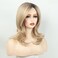 Fencca Ombre Blonde Highlight Long Natural Wavy Wig with Bangs Layered Synthetic Blonde Wigs for White Women