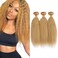 Honey Blonde Bundles Human Hair 27 Kinky Straight Bundles Blonde Human Hair Bundles 12 14 16 inch Mixed Length 3 Bundles Blonde Yaki Human Hair Bundle Sew in Hair Extensions