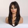 HAIRCUBE Long Dark Brown with Highlights Wigs for Women Synthetic Curly Wavy Hair Wig for Daily