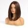HAIRCUBE Short Wigs for Women,Brown Bob Wig Shoulder Length Synthetic Wig Heat Resistant Hair for Daily Party Use 16 Inches(Brown Mixed Blonde)