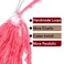 BOHOBABE 2 Packs Pink Butterfly Locs Crochet Hair 30 Inch Butterfly Faux Locs Long Distressed Locs (2 Packs, Pink)