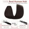 Benehair One Piece Clip in Hair Extensions Real Human Hair 3/4 Full Head V Shaped Weft Thicker Hair Lace Net One Piece Hair Extensions with 5 Clips (14"-55g #2 Dark Brown)