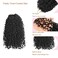 Yanky Twist Crochet Hair 10inch Pre-Twisted Bohemian Twist Curly Braiding Hair Extensions 2Packs Pre-looped Mini Passion Braids Spring Crochet Braiding Hair Extensions Black