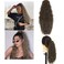 Short Drawstring Curly Ponytail 14 Inch Corn Wave Ponytails Clip in Synthetic Pony Tails Hairpieces for Black Women and Kids (Black brown/Strawberry blonde)
