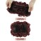 ELAINE Combs Messy Bun Hair Piece Curly Dish Hair Buns Extension Thick Chignon Hairpiece Clip in Ponytail Scrunchies Hair Pieces for Women (Dark Wine Red -#26)