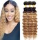1B27 Honey Blonde Bundles Deep Wave Human Hair Bundles Ombre Bundles 24 26 28 inch Soft Virgin Wet And Wavy Bundles 100g/Pcs 8A Grade Brazilian Honey Blonde Bundles