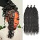 ZRQ Ocean Wave Crochet Hair 14 Inch 3 Packs Deep Wave Curly Braiding Hair Extensions Synthetic Curly Crochet Hair For Women #1B