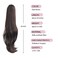 HSPJHTM Dark Brown Ponytail Extensions,2 PCS Ponytails Extensions for Women 24" Synthetic Claw Clip in Pony Tail Hair Extentions Halloween Fluffy Hairpiece for Daily Use