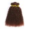 24 26 28 Inch Copper Brown Bundles Color #33 Curly Human Hair Bundles Brazilian Virgin Hair Reddish Brown Kinky Curly Bundles Color 33 Bundles Human Hair Auburn Bundles
