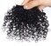 Afro Kinly Curly Bangs Clip in Hair Extensions Natural Fake Fringe Bangs Short Curly Human Hair Bangs Clip on Hair Piece Jerry Curly Fringe Hair Black Color