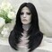 Jet Black Lace Front Wig: T Part Synthetic Wig, Wolf Cut/Layer Cut Straight Hair Wig 24 Inches, Heat Resistant Synthetic Glueless Wig Soft and Natural Looking Hair Daily Wig