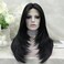 Jet Black Lace Front Wig: T Part Synthetic Wig, Wolf Cut/Layer Cut Straight Hair Wig 24 Inches, Heat Resistant Synthetic Glueless Wig Soft and Natural Looking Hair Daily Wig
