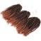 8'' Mali Bob Braiding Hair Ombre Jerry Curl (3 Bundles/pack) Marlybob Crochet Braiding Hair Afro Kinky Curl Braids Hair Extension(T 1B/30)