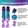 2 Pack Jumbo Braiding Hair - 24Inch purple-lake blue-light purple Braiding Hair Synthetic Hair Extensions Rainbow Braiding Hair High Temperature Synthetic braiding hair Wedding Makeup Styling