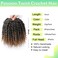 Passion Twist Crochet Hair 6Inch Passion Twist Hair 8 Packs Pre-Twisted Passion Twist Crochet Hair for Black Women Soft Passion Twist Curly Crochet Hair 6"(Pack of 8) T27