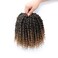 Passion Twist Crochet Hair 6Inch Passion Twist Hair 8 Packs Pre-Twisted Passion Twist Crochet Hair for Black Women Soft Passion Twist Curly Crochet Hair 6"(Pack of 8) T27