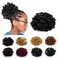 Loc Petal Bun Dreadlock Drawstring Ponytail Curly Faux Locs Braided Ponytail Clip in Chignon Scrunchies Hairpiece for Black Women Girls(Black)