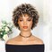Lady Miranda Short Afro Dreadlock Wig Afro Curly Wig Short Twist Wigs for Black Women and Men Short Curly Braided Twist Dreadlock Wigs (1B/27)