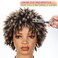 Lady Miranda Short Afro Dreadlock Wig Afro Curly Wig Short Twist Wigs for Black Women and Men Short Curly Braided Twist Dreadlock Wigs (1B/27)