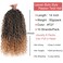 Leeven 8 Packs Goddess Passion Twist Hair 14 Inch Ombre Honey Blonde Pre Twisted Crochet Boho Style Passion Twist Pre Looped Bomb Twists Curly Ends Synthetic Braids for Women Girl #T27