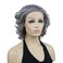 Lydell 10" Lace Front Wigs Gray Curly Women Wigs Natural Heat Resistant Synthetic Wig