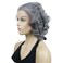 Lydell 10" Lace Front Wigs Gray Curly Women Wigs Natural Heat Resistant Synthetic Wig
