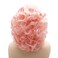 Hair Synthetic Lace Front Wig Wavy Short 10inch Pink Heavy Density Realistic Wig
