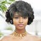 GNIMEGIL Grey Short Curly Wigs for Black Women Soft Synthetic Granny Hair Replacement Full Wigs for Daily Party Use Mommy Old Lady Wig Elderly Realistic