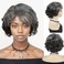 GNIMEGIL Grey Short Curly Wigs for Black Women Soft Synthetic Granny Hair Replacement Full Wigs for Daily Party Use Mommy Old Lady Wig Elderly Realistic