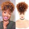 LEOSA Wig Afro Puff Drawstring Ponytail Bun with Bangs Heat Resistant Synthetic Short Kinky Curly Ponytail Updo Hair Extensions with Two Clips Natural Looking Curly Women Hairpieces (#1B/30)