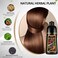 Natural Wine Red Herbal Hair Dye Shampoo, 3 in 1 Burgundy for Gray Hair, 16.9 Fl Oz (Men &amp; Women)