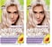 Garnier Hair Color Nutrisse Ultra Color Nourishing Creme, PL2 Ultra Light Platinum (Mascarpone Cr&egrave;me) Permanent Hair Dye, 1 Count (Packaging May Vary) (Pack of 2)