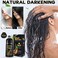 Black Hair Dye Shampoo 3 in 1 for Women/Men for Gray Coverage Instant Hair Color Shampoo Natural Herbal Semi Permanent Champu Para Cana