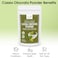 Organic Cassia Obovata Powder   Neutral Henna Powder for Hair   Pure &amp; Natural Hair Conditioner   No Preservatives  Chemical Free   100% Raw   Colorless Henna for Hair  227 Grams (8 OZ)