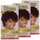 2RB Bigen Easy Color for Women Burgundy- New Formula - 3 Pack