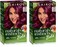 Clairol Natural Instincts Bold Permanent Hair Dye, F66 Dragon Fuchsia Hair Color, Pack of 2