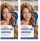 Clairol Root Touch-Up by Nice'n Easy Permanent Hair Dye, 7 Dark Blonde Hair Color, Pack of 2