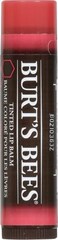 Burts Bees 100% Natural Tinted Lip Balm, Hibiscus with Shea Butter &amp; Botanical Waxes 1 Tube (Pack of 2)