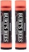 Burts Bees 100% Natural Origin Tinted Lip Balm, Zinnia with Shea Butter &amp; Botanical Waxes - 1 Tube (Pack of 2)
