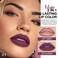evpct 1Pcs Dark Purple Plum Lip Stain Paint Matte Lip Liner and Lipstick Set Long Lasting Smudge Proof labiales matte mate larga duracion listip 24 hours a prueba de agua mate 24 horas originales,01#